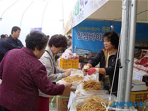 인기몰이 증평인삼