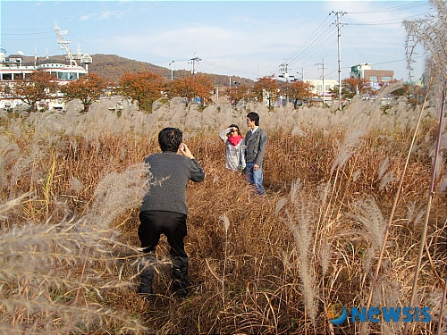 청주 무심천변에서 가을정취 느껴보세요