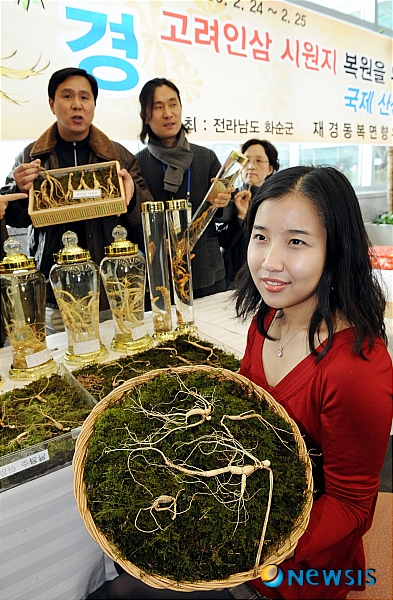 세계 산삼을 한자리에서 만나보세요