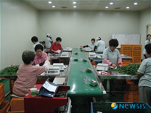 강원농협 농산물 산지유통 중심축