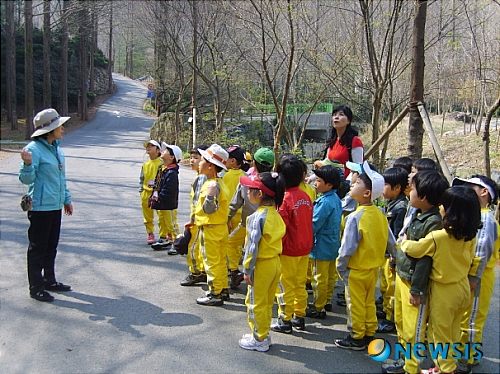 고사리들의 봄나들이