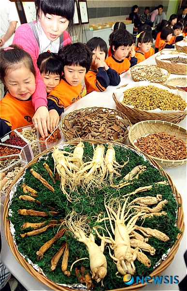 토종약초 살펴보는 어린이들