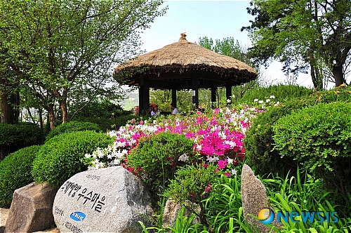 <송기자 여행사진> 싱그러운 외암마을