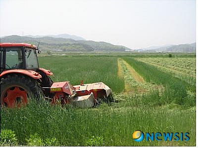 청양 가축사료 걱정 없어요