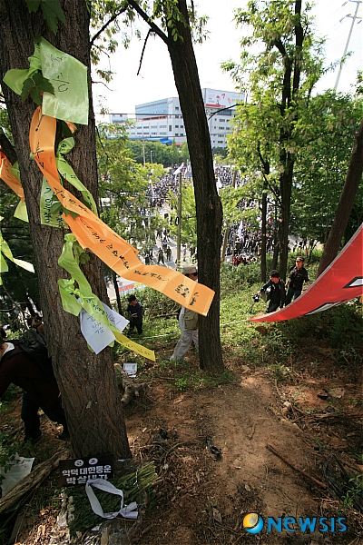 박종태씨 목맨 나무엔 추모 리본만…