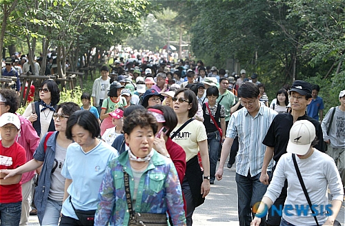 <소식>제45차 원주웰빙걷기대회 열려