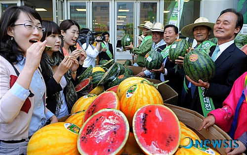 시골장터에서 트럭째 싣고 온 수박 팝니다!