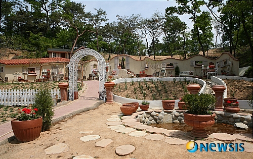 6월의 가볼만한 곳-경기 안성 풍산개 마을 허브마을도 가고
