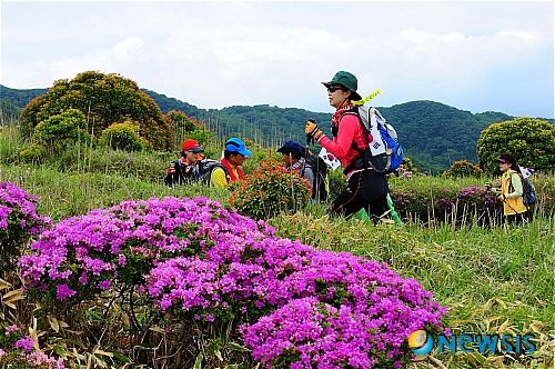 <송기자 여행사진>즐거운 구주산 산행