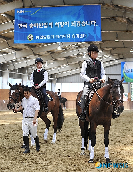 농협 안성목장 승마센터 개장, 승마를 즐겨보세요