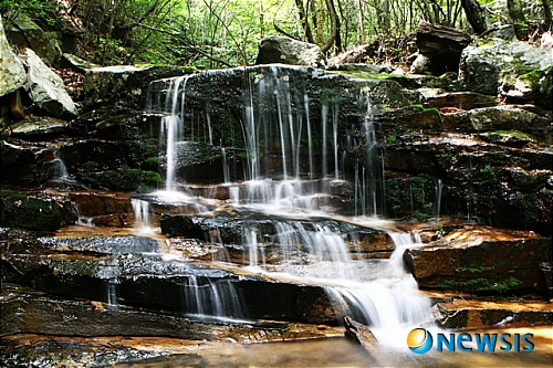 오투(O2)숲 산책로