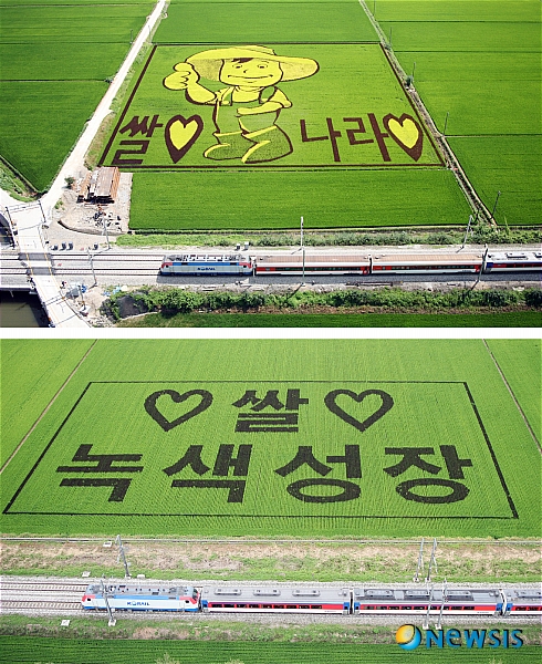 기찻길 들녘에 새겨진 우리쌀 사랑 홍보 문구