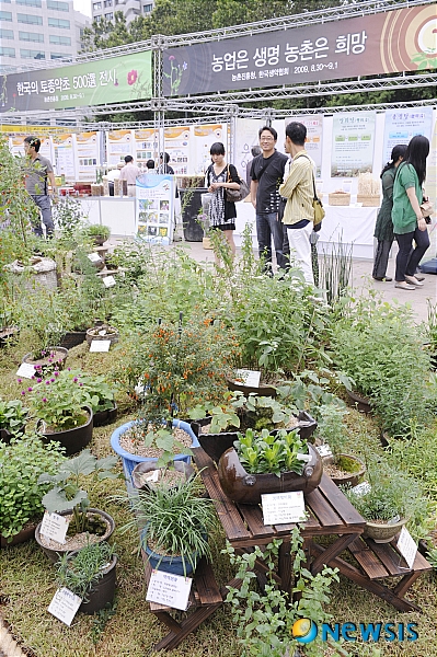 서울광장에 전시된 토종약초들