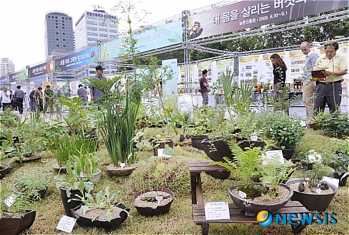한국 토종약초 구경오세요!