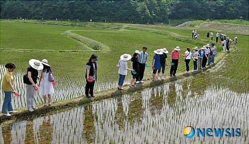 진천서 도시민들의 친환경농산물 체험