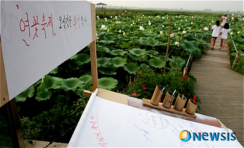 환영해요, 강릉풍호마을 연꽃축제