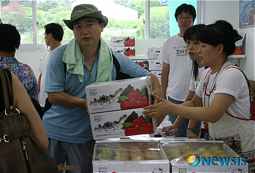 화천 토마토가 최고랍니다
