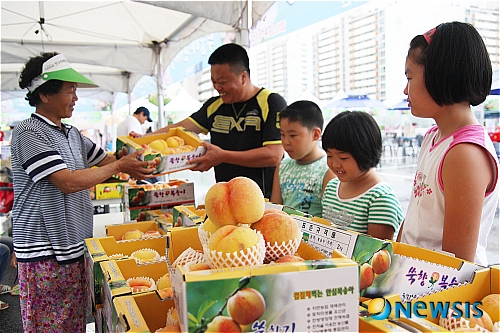 “옥천 복숭아가 최고예요!”