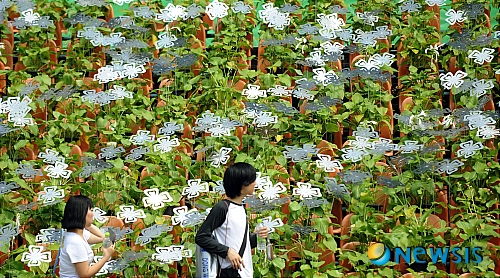 은꽃 펼쳐진 녹색정원