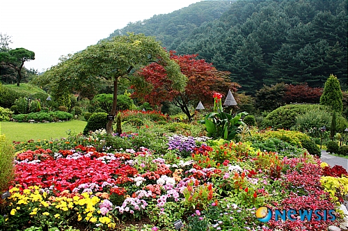 사계절 모두 화려한 아침고요수목원의 하경정원