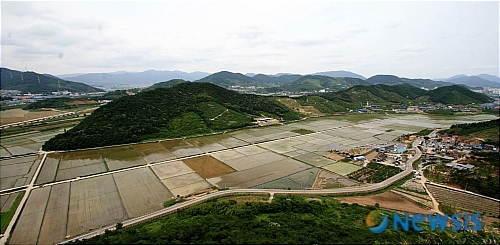 친환경 봉하쌀 盧(당신)께 바칩니다