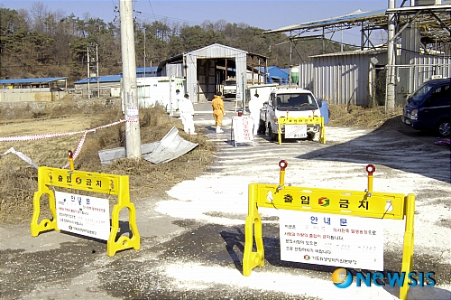 안동 구제역 발생 농가 출입통제 철저