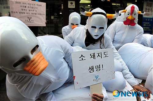 소, 돼지도 생명