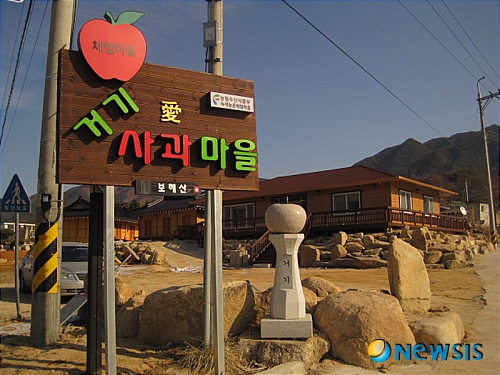 거창군, 거기愛 사과체험 인기