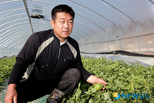 “키토올리고당 함유된 기능성 참외”