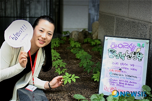 하이리빙, 도심속 산삼밭 조성
