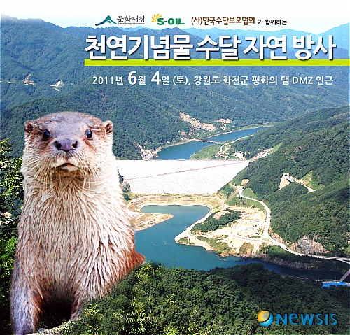 화천서 4일 평화의 댐 천연기념물 수달 방사