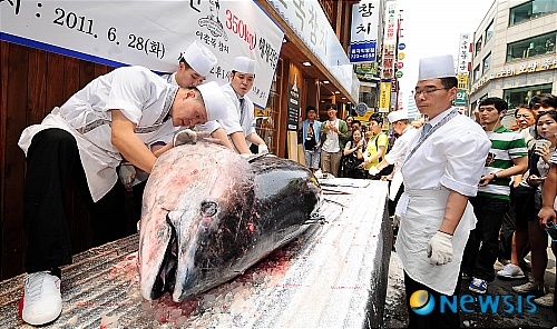 이춘복참치, 350kg 참다랑어 해체작업