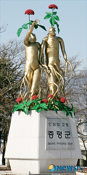 증평인삼 조형물
