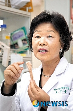 인삼 다당체 진산 항암효과 탁월