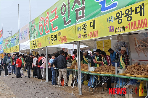 홍천 인삼, 한우 축제
