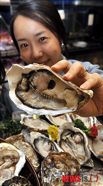 20cm 제철굴