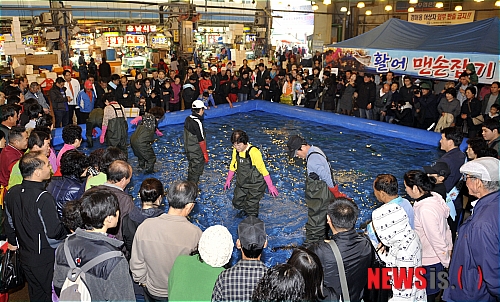 도심속 바다축제, 활어맨손잡기 행사