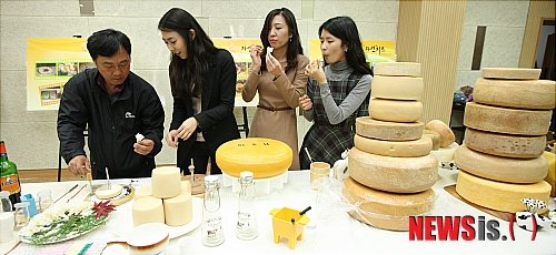 국내산 자연 치즈 콘테스트
