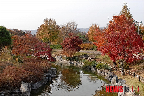 금강수목원 단풍