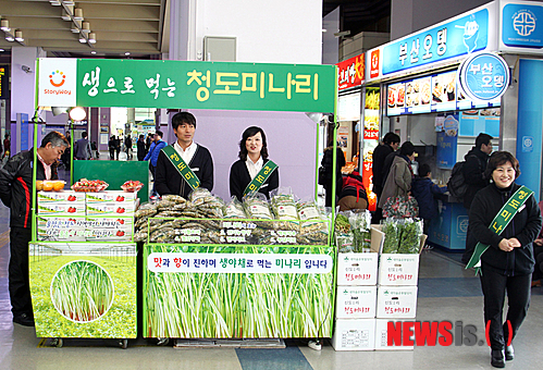코레일유통 기차역에서 청도미나리 맛보세요