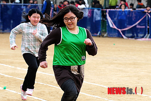 초등학교 팝스 등급별 교육장배 육상대회