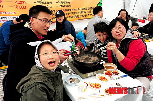 서천군 동백꽃 주꾸미 축제