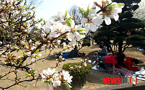 꽃내음 맡으며 휴일 오후 보내요!