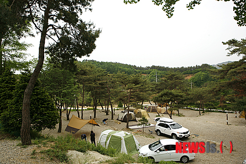 6월, 자연에 물들다…하루 캠핑장 베스트7