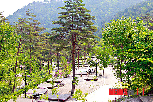 검봉산자연휴양림에서 산과 바다 즐겨보세요