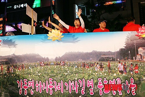 강릉 풍호연꽃마을 놀러오세요~