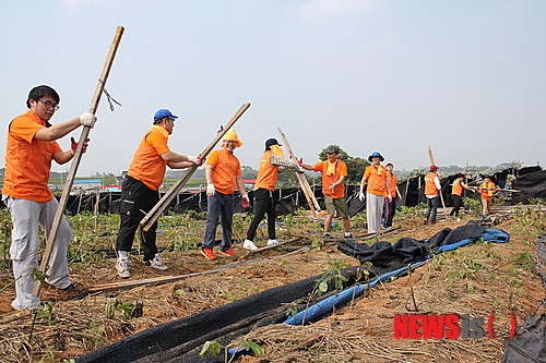 천안 갤러리아센터시티 태풍피해 봉사활동