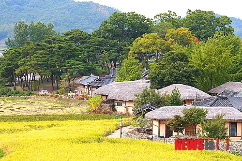 아산 외암민속마을 가을과 조상의 얼 느끼세요
