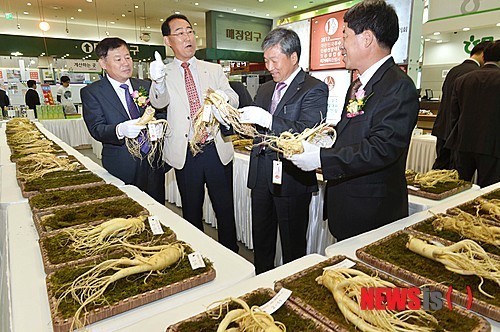 농협 우수인삼 선발대회