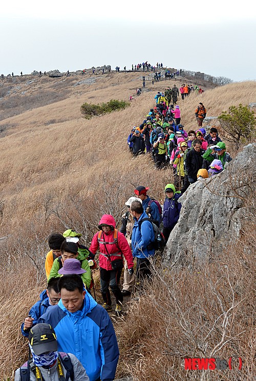 만든곳: 한국 네티즌본부 카페